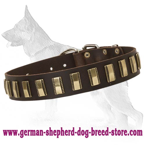 Leather German Shepherd Collar with Unusual Brass Plates