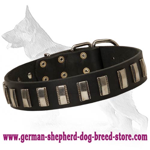 Leather German Shepherd Collar with Slim Silver-like Plates