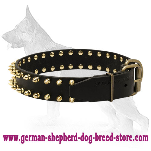 Leather German Shepherd Collar with Golden Spikes
