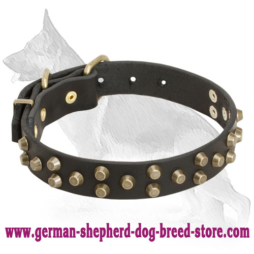 Leather German Shepherd Collar with Old Brass Pyramids