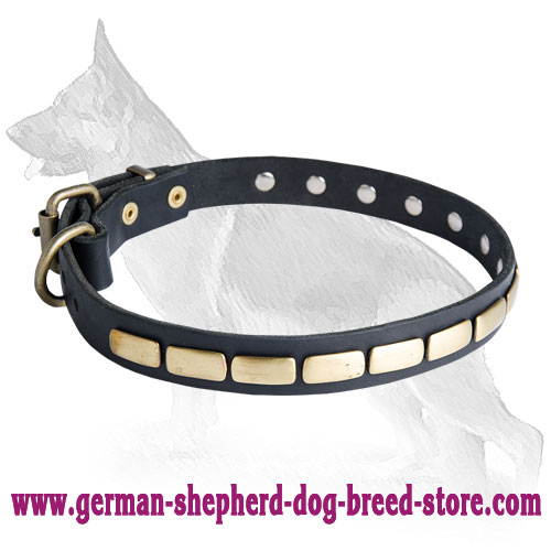 Slide Leather German Shepherd Collar with Brass Plates