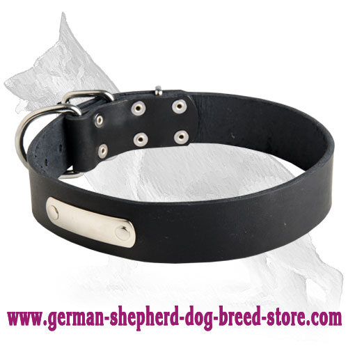 Leather German Shepherd Dog Collar with ID Tag