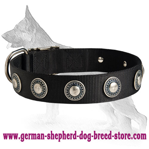 All Weather Collar with Silver Conchos