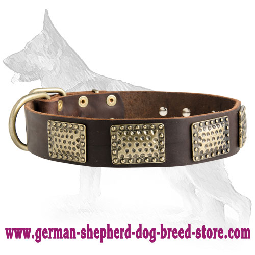 German Shepherd Dog Leather Collar Brass Plates Luxurious - Click Image to Close