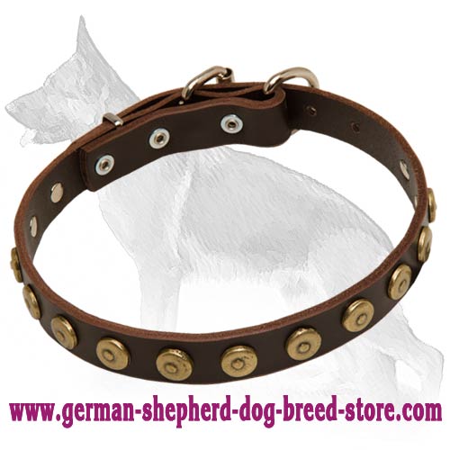 Gorgeous Leather Dog Collar With Doted Circles