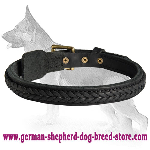 Gorgeous Wide Leather Dog Collar
