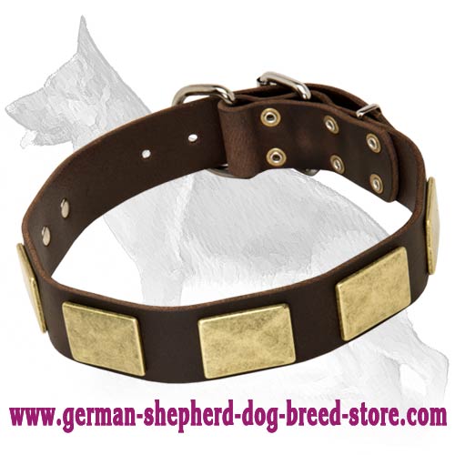 Handcrafted Leather Dog Collar With Vintage Massive Plates