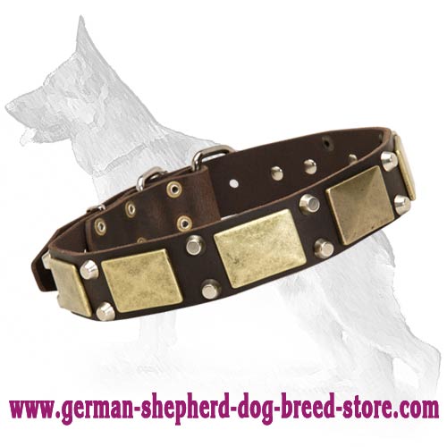 Gorgeous War Dog Leather Dog Collar