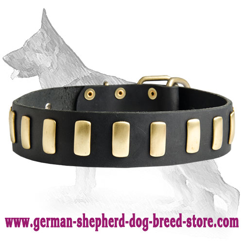 Gorgeous Wide Leather Dog Collar & Plates