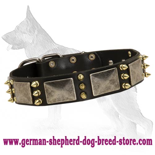 German Shepherd Leather Dog Collar With Massive Plates - Click Image to Close