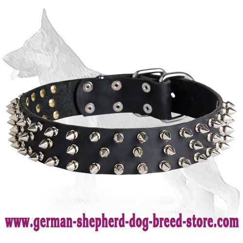 German Shepherd Leather Dog Collar Spikes 3 Rows