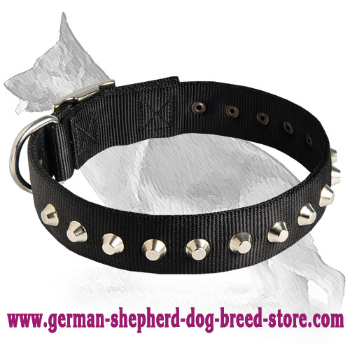 1 Row Studs Dog Collar-1 1/4" for German Shepherd