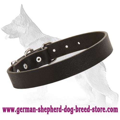 German Shepherd Dog Collar 30 mm - Click Image to Close