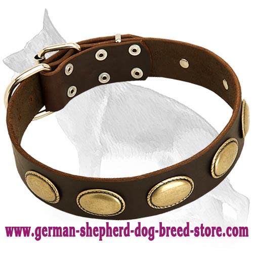 Retro Rulz - Gorgeous Vintage Dog Leather Collar