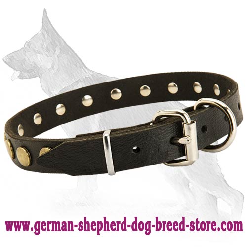 Leather Special Dog Collar With Circles