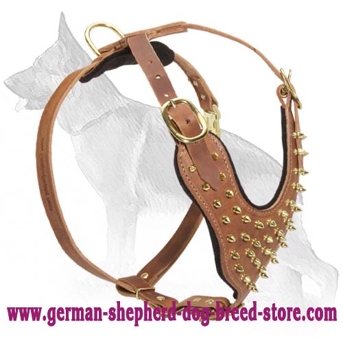 Brass Spiked Leather Harness For German Shepherd Dog