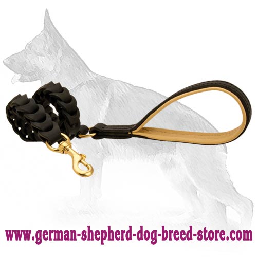 Handcrafted Braided Leather Dog Leash for walking and training