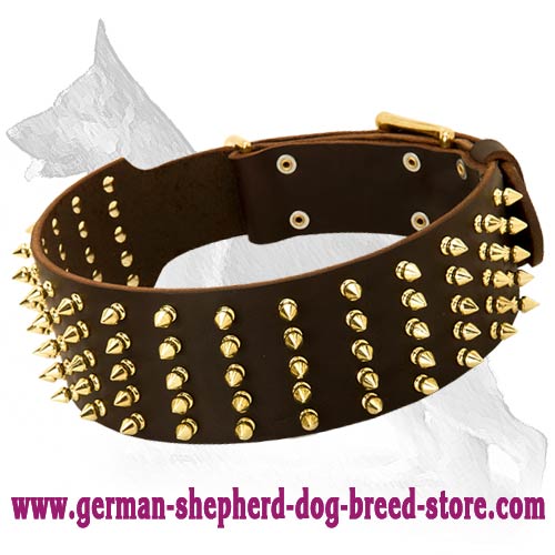 Gorgeous Wide Leather Dog Collar
