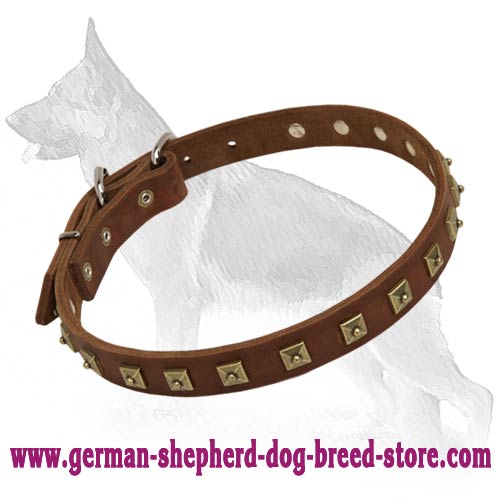 Brass Studded Leather Dog Collar