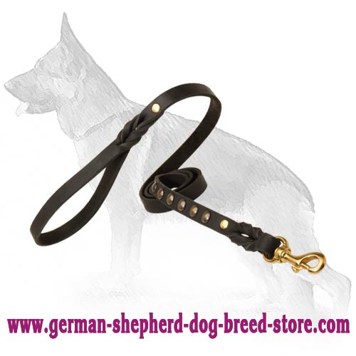 Studded Leather Dog Leash for Walking and Tracking