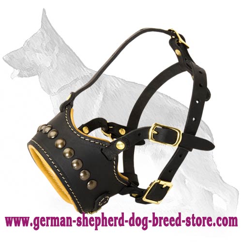 German Shepherd Dog Nappa Padded Muzzle With Brass Studs
