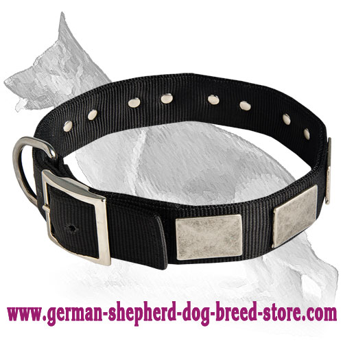 Nylon Dog Collar For Large and Medium Breeds With Vintage Plates