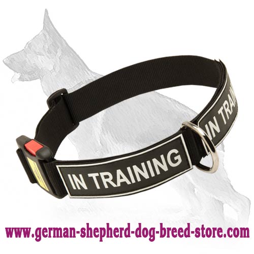 German Shepherd Nylon Dog Collar With ID Patches