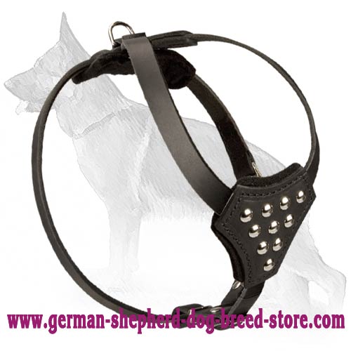 Decorated Leather German Shepherd Harness for Puppies - Click Image to Close