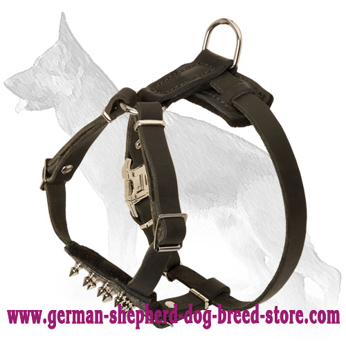 Leather German Shepherd Puppy Harness Decorated with Spikes