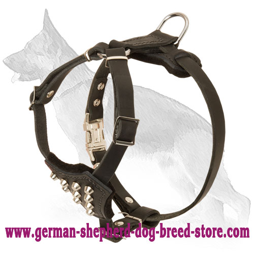 Leather German Shepherd Puppy Harness Decorated with Studs