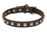 "Caterpillar" Design Leather German Shepherd Collar with Nickel Plated Studs