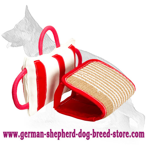 Biting-Jaws Dog Pillow with Jute Cover