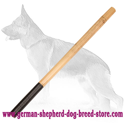 Training Bamboo German Shepherd Stick German Shepherd Breed Dog