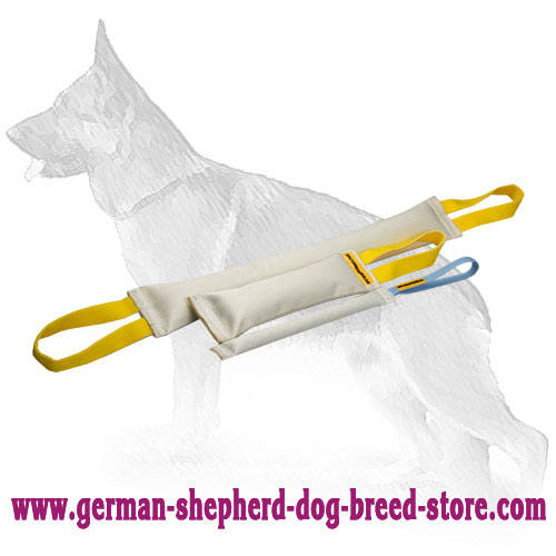 Three in One Bite Tug Set Made of Fire Hose - Click Image to Close