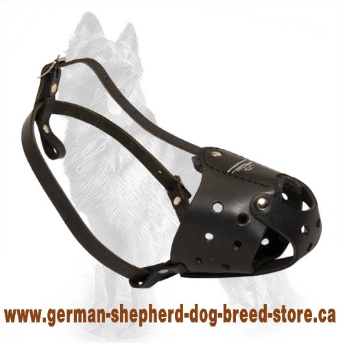 Latigo Safety Muzzle For German Shepherd