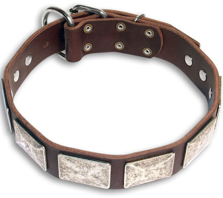 German Shepherd Leather Dog Collar Massive Plates with Nickel Covering