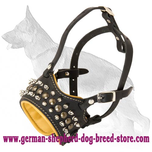 Royal Spiked Leather Dog Muzzle