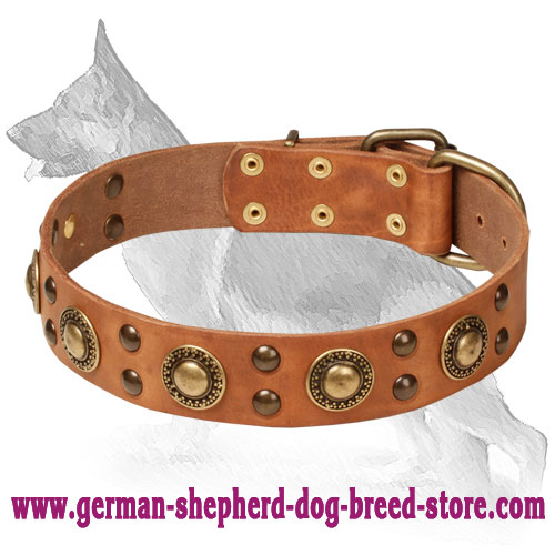 Mighty Space-like Adorned Leather Collar for German Shepherd