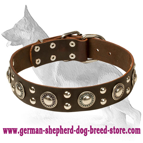 Deluxe Rock n Roll Leather Collar with Silver like Decor