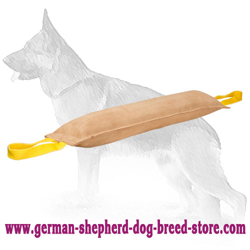 Advanced Huge Leather Bite Tug