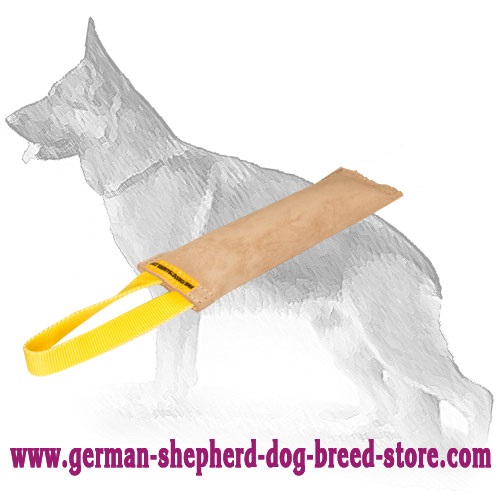 Leather Bite Tug with 1 Handle