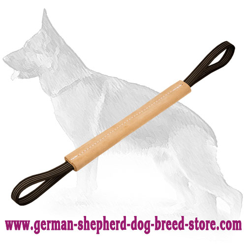 Hard Pocket Leather Bite Toy with Handles