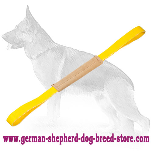 Puppy Pocket Leather Tug with Handles