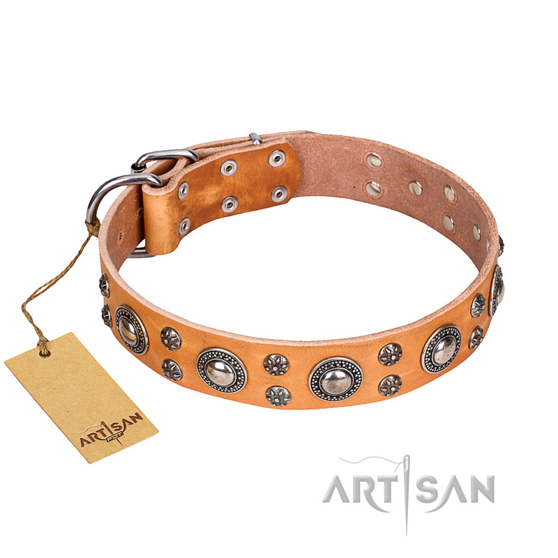 'Extra Sparkle' FDT Artisan Handcrafted German Shepherd Tan Leather Dog Collar