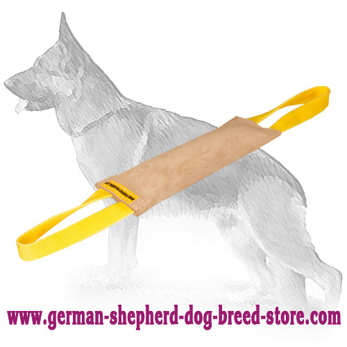 Quick Grip Leather Bite Tug with Handles