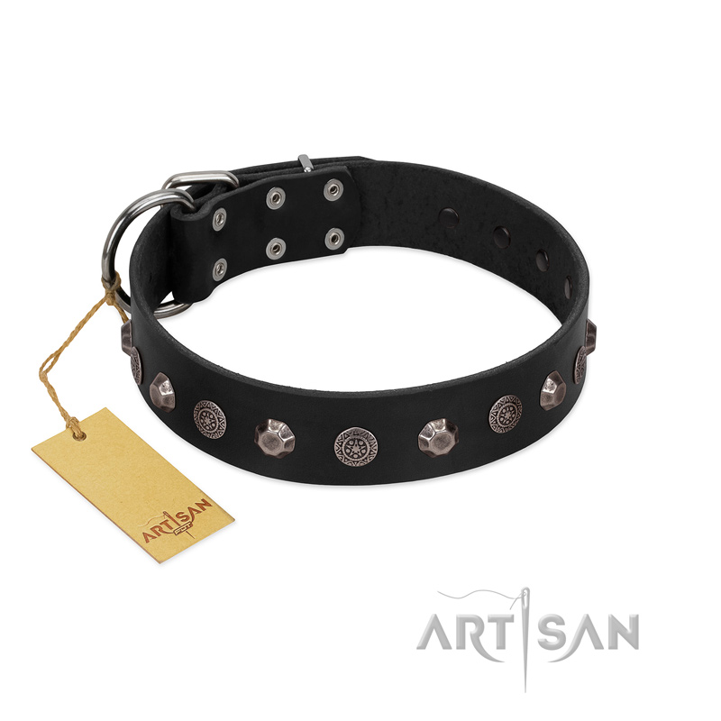 "Black Knight" Handmade FDT Artisan Black Leather German Shepherd Collar with Silver-Like Studs