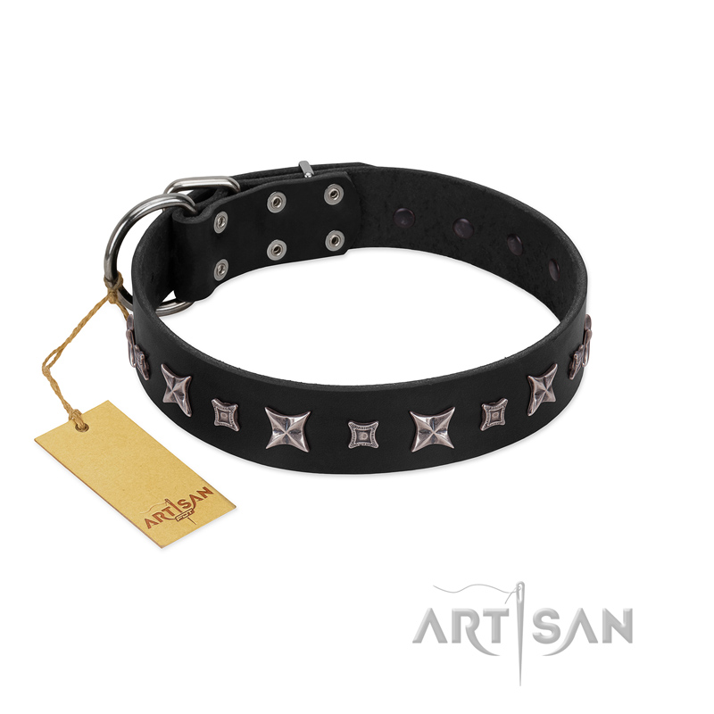 "Polar Lights" Designer FDT Artisan Black Leather German Shepherd Collar with Silver-Like Studs