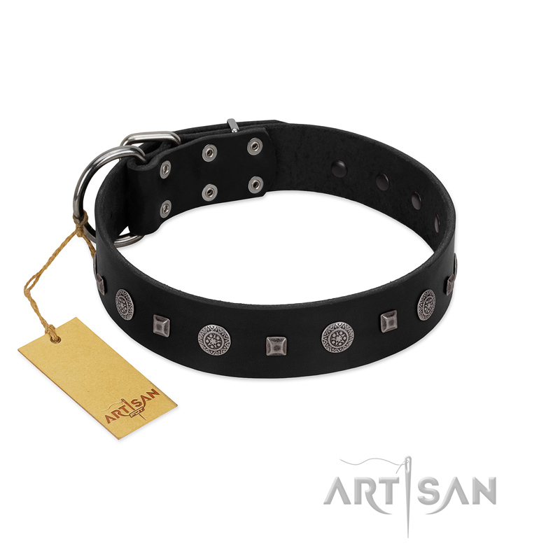 "Mr. Elegance" Designer FDT Artisan Black Leather German Shepherd Collar with Silver-Like Studs