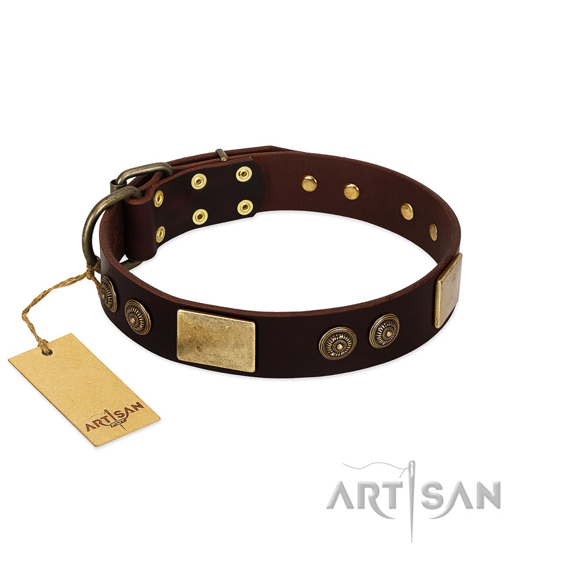 "Bow-Wow Effect" FDT Artisan Brown Leather German Shepherd Collar with Plates and Ornate Studs - Click Image to Close