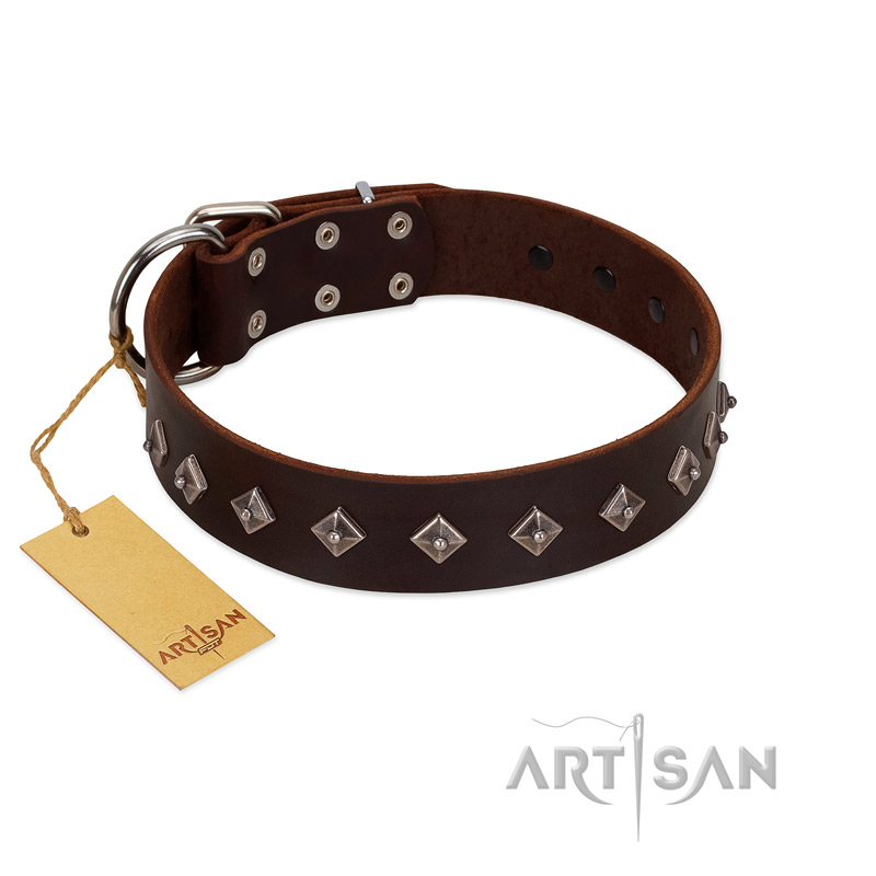 "Boundless Energy" Premium Quality FDT Artisan Brown Designer Leather German Shepherd Collar with Small Pyramids